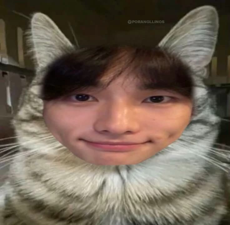 Hwang Hyunjin thumbnail