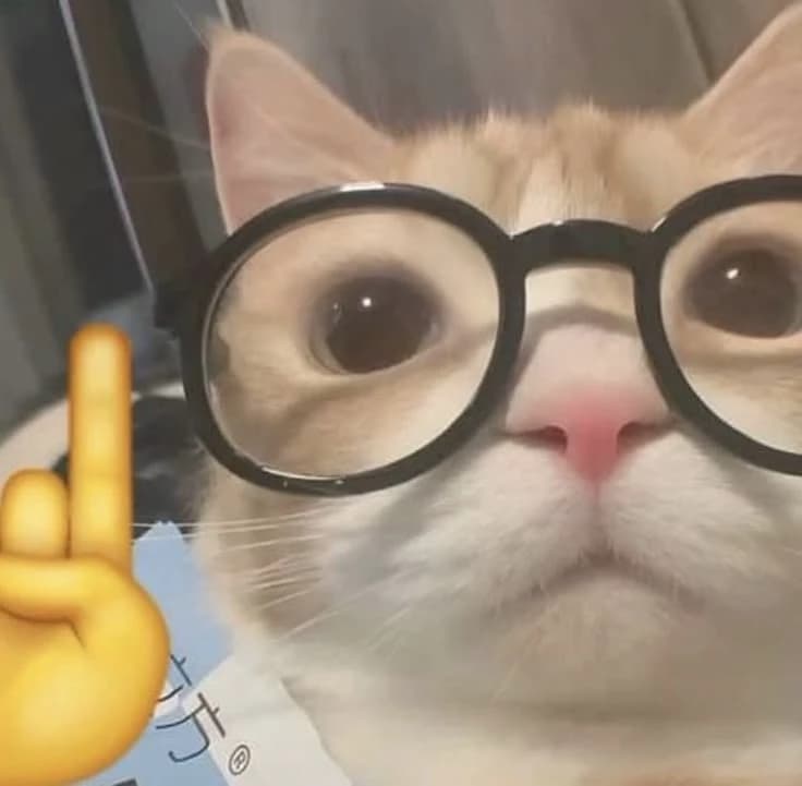 Enzo thumbnail