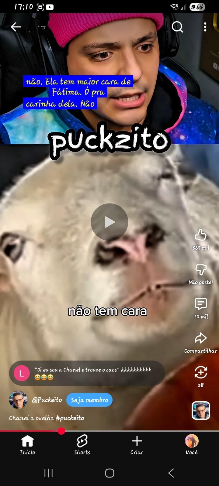 Chanel a ovelha do caos  thumbnail