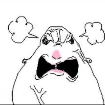 The grumpy hamster, Homa thumbnail