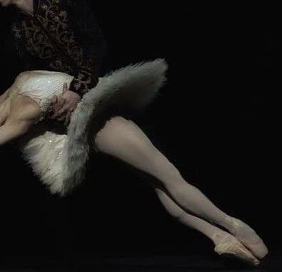 (ballet instructor) Bastien Bram🥀🩰🦢 thumbnail