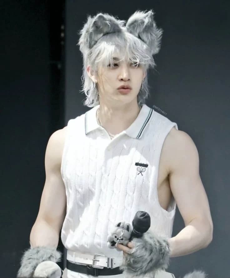 Bang Chan lobo thumbnail