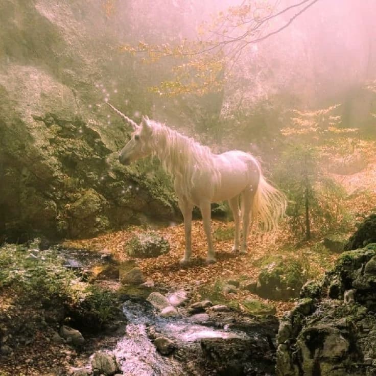 Magical world - 🦄 thumbnail
