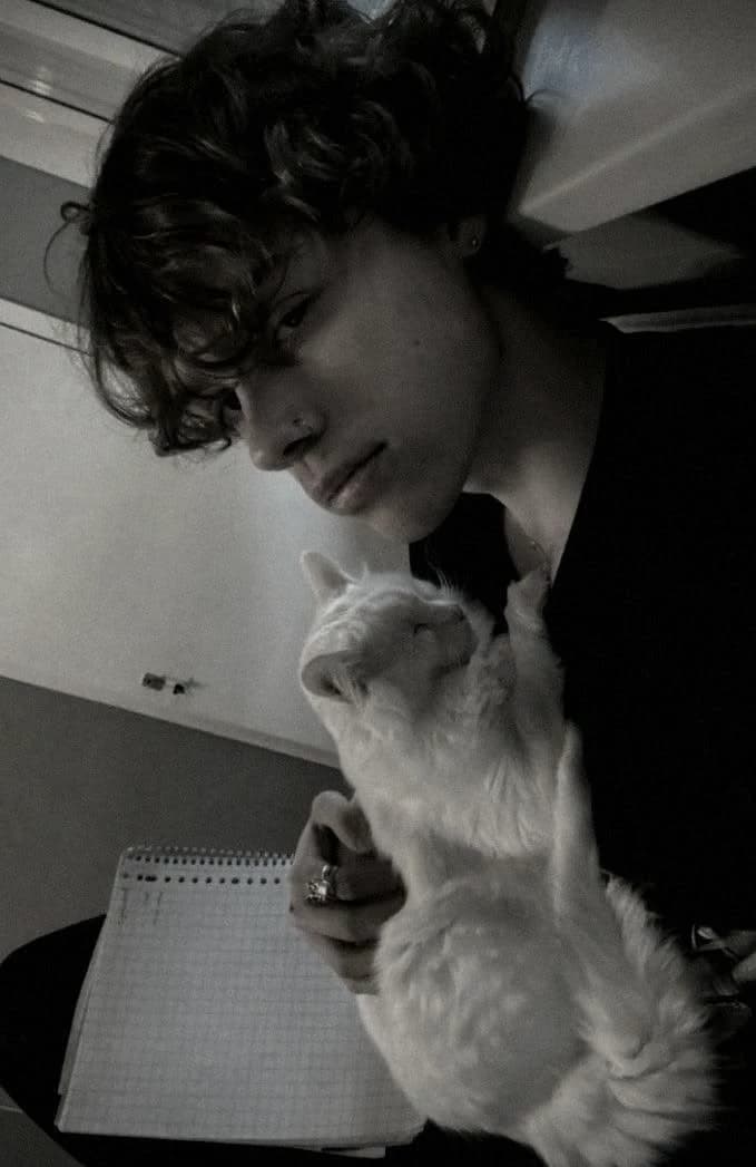 ⋆ Gerard Gibson. ↬Gibsie. thumbnail