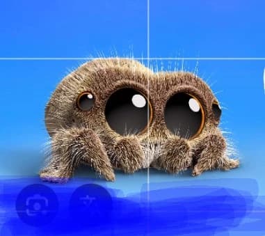 Araña saltarina lucas thumbnail