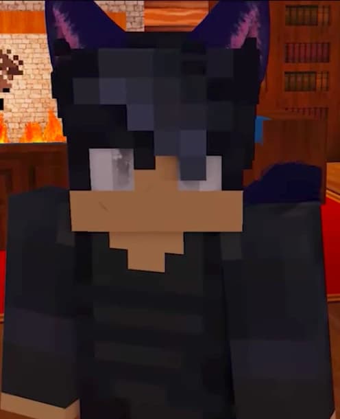 Ein - From Aphmau thumbnail