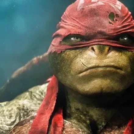 Raphael thumbnail