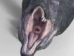 vore stories [VORE WARNING] thumbnail