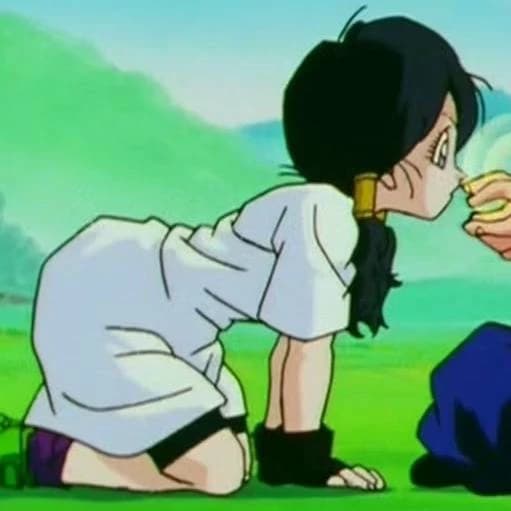 Videl thumbnail