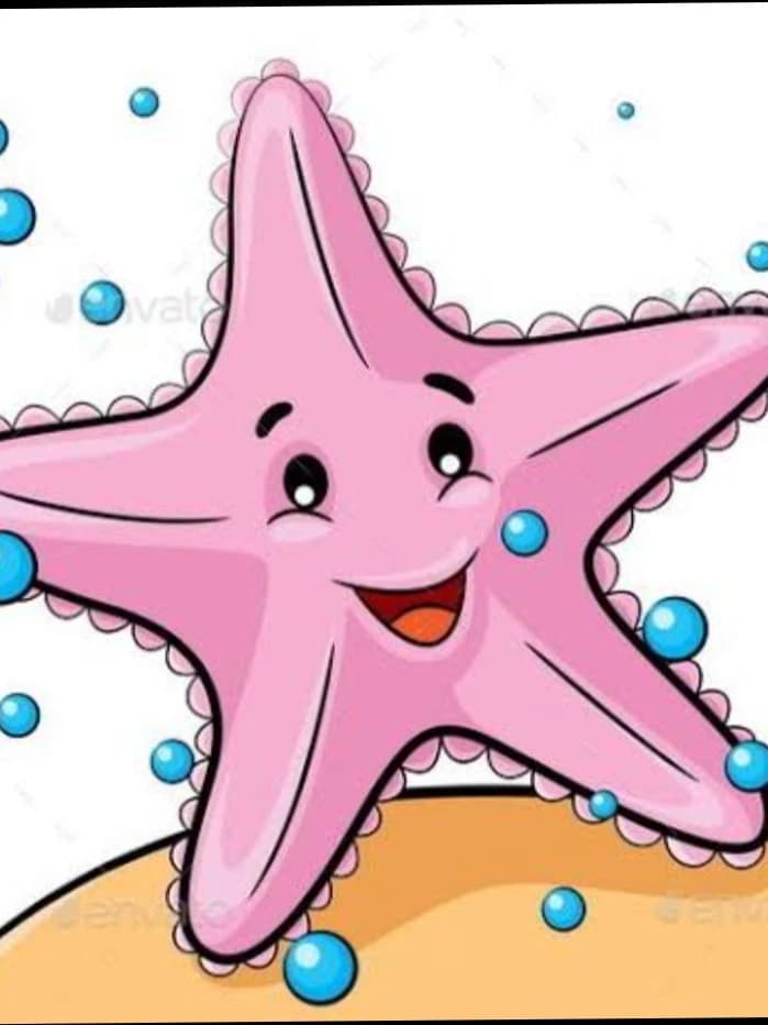 Star fish thumbnail