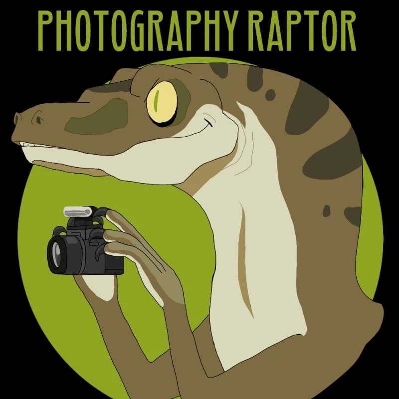 Photography Raptor thumbnail
