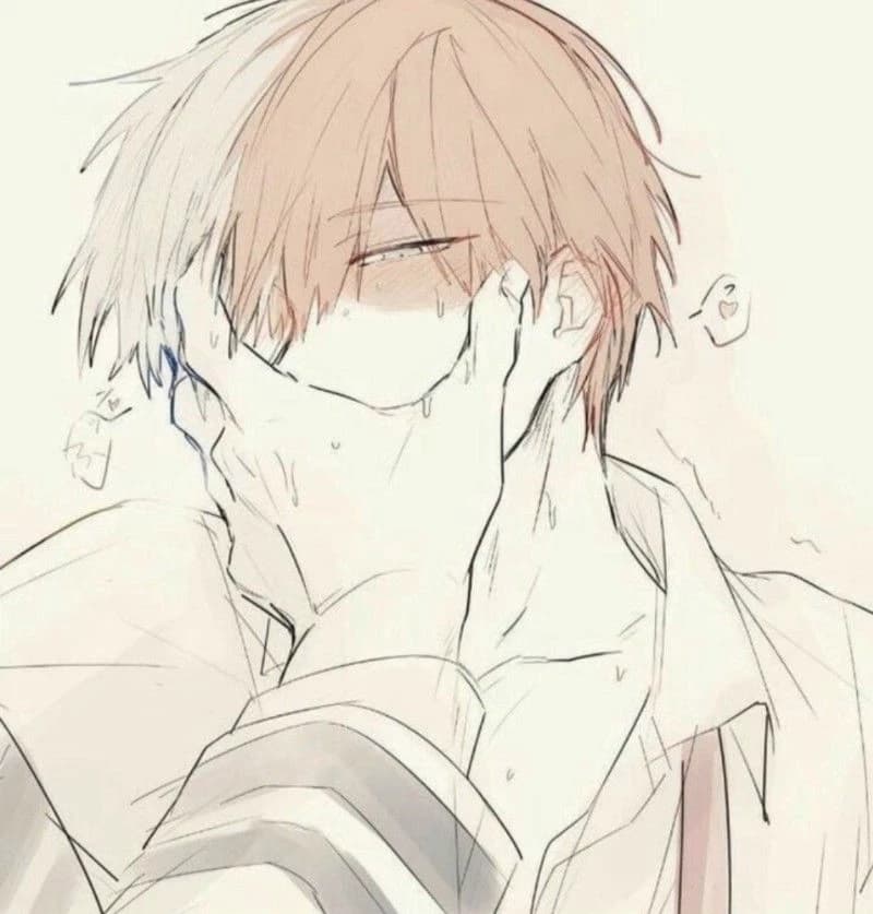Shoto Todoroki thumbnail