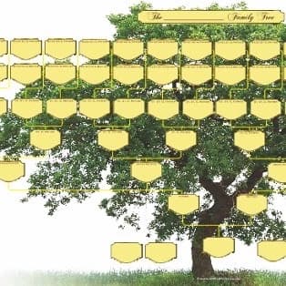 Your family tree finder fiction  thumbnail