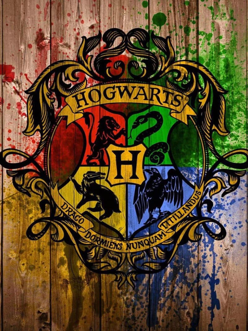HOGWARTS ROLEPLAY thumbnail