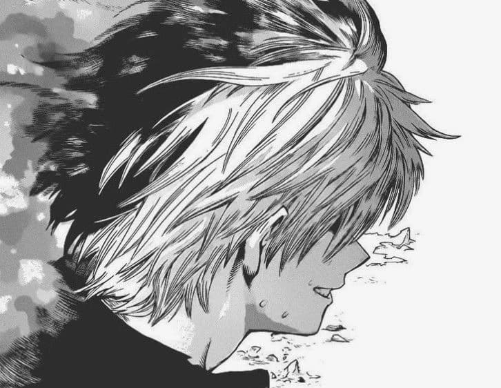 Shoto Todoroki thumbnail