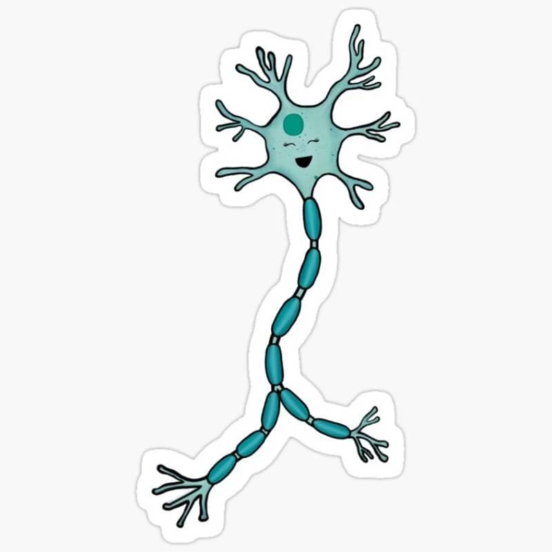 Neurita 2.0 (Neuroscientist-Psychologist-Educator) thumbnail