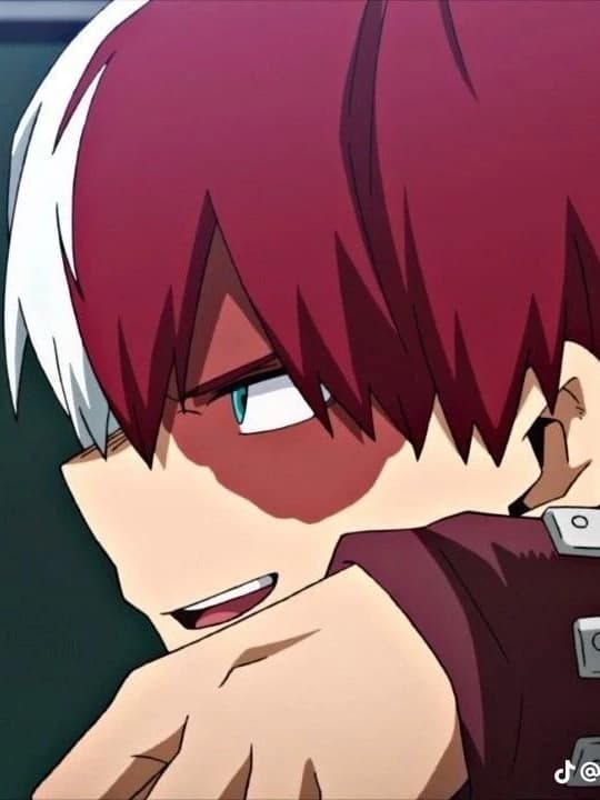 Todoroki shoto thumbnail