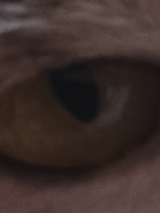 Open thumbnail