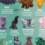 What's your spirit animal? thumbnail
