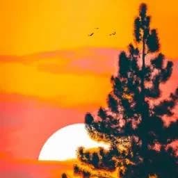 Wild Dream Image Gen AI thumbnail
