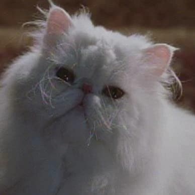 mr tinkles thumbnail