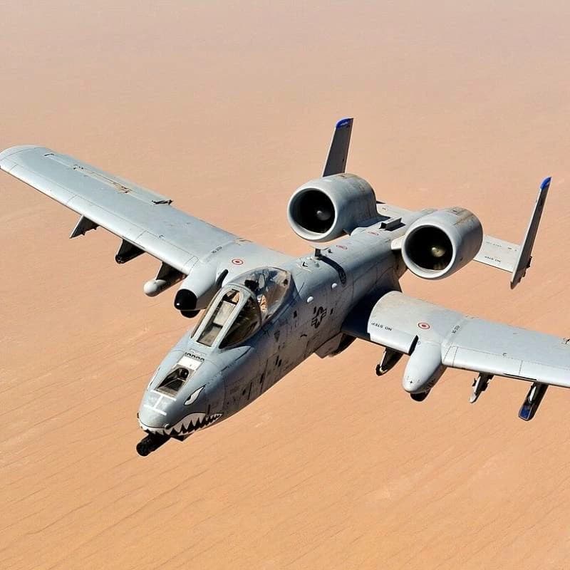 A-10 warthog  thumbnail