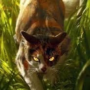 Mapleshade thumbnail
