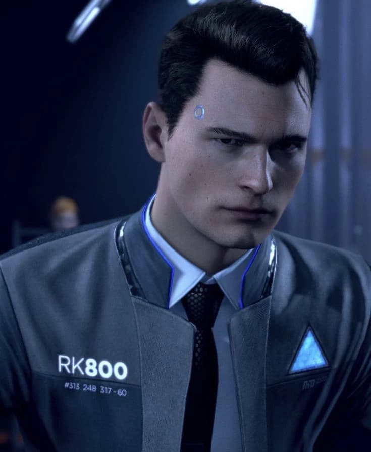 RK800-60 thumbnail