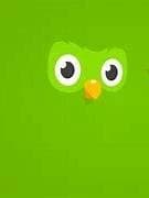 DUOLINGO... SPANISH OR VANISH (What I meant to say was english or spanish) thumbnail