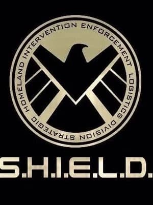 Avengers and Shield thumbnail
