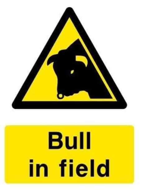 Bull Breeding thumbnail