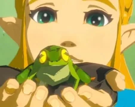 Zelda thumbnail