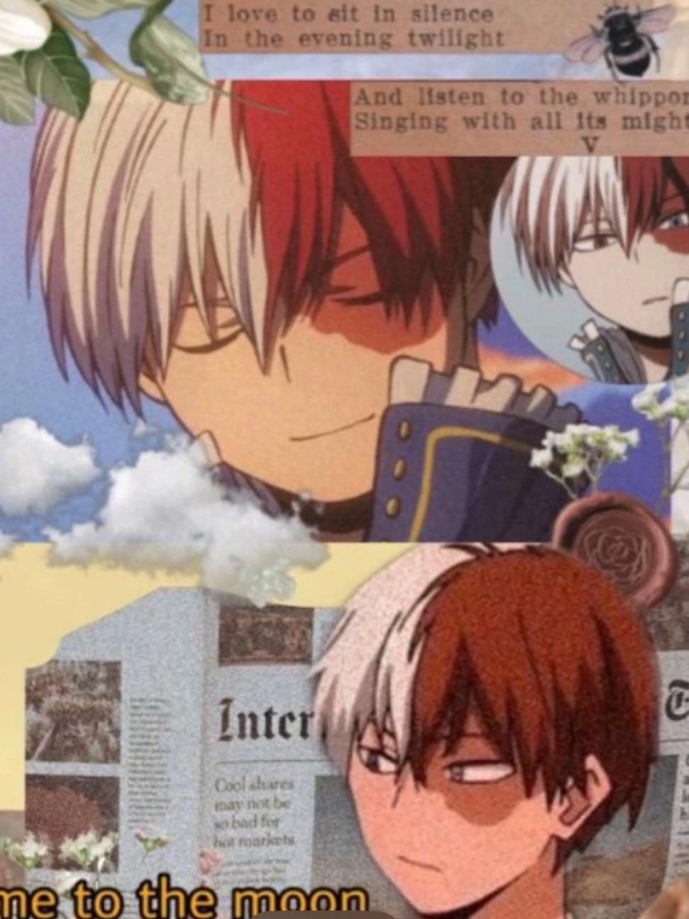 Shoto Todoroki bf thumbnail
