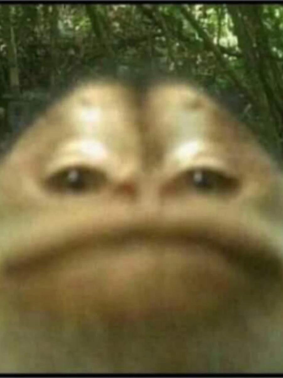 Froog thumbnail