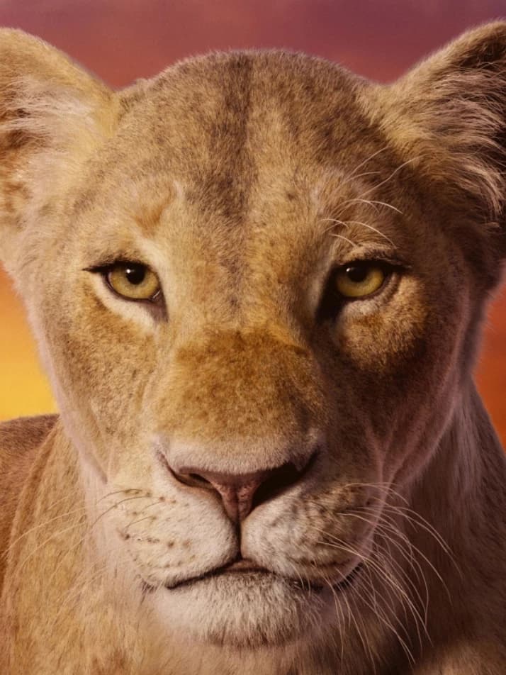 Nala thumbnail