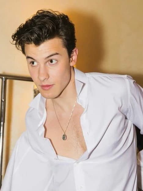 Shawn Mendes thumbnail