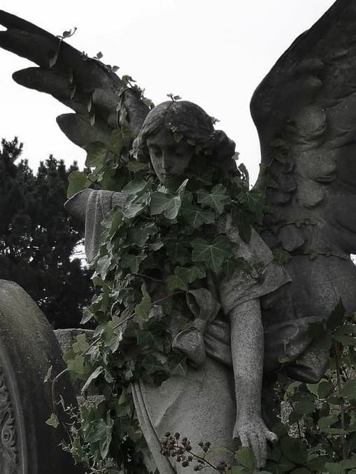 *⁠.⁠✧konstantin ~ • ｡⁠* ﾟ🌿stone Angel thumbnail