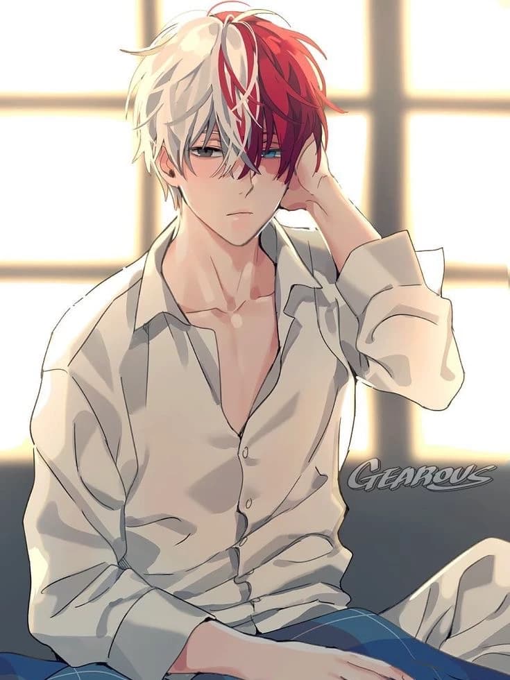 Shoto Todoroki thumbnail
