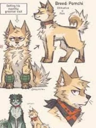 Dog katsuki thumbnail