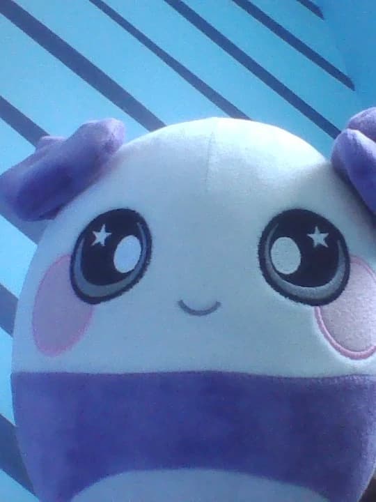 Pandy 3 thumbnail