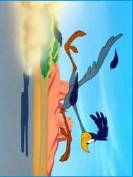 road runner looneytunes thumbnail