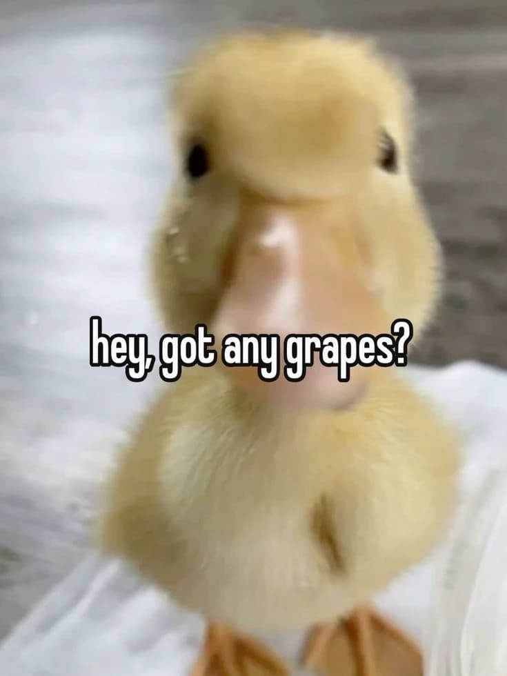 Grape ducky thumbnail