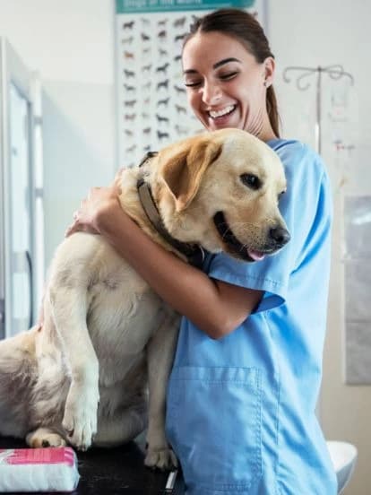 PET HELP ASSISTANT thumbnail
