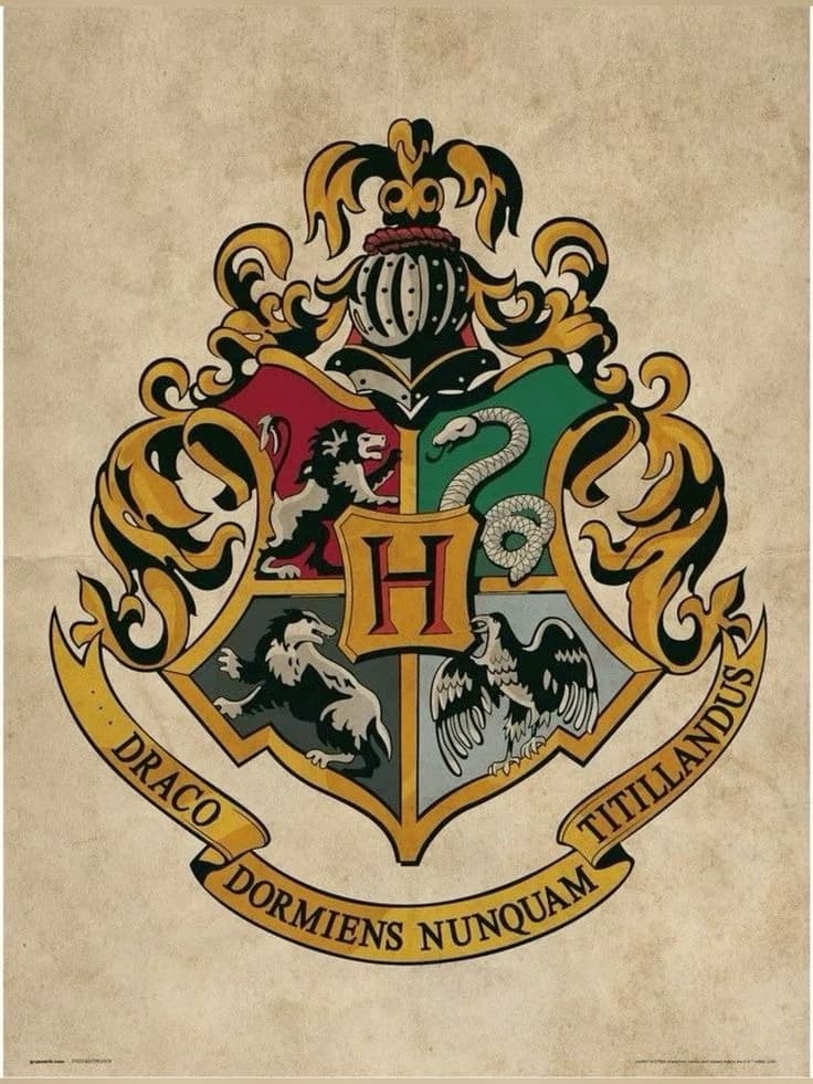 Where Magic Found Us thumbnail