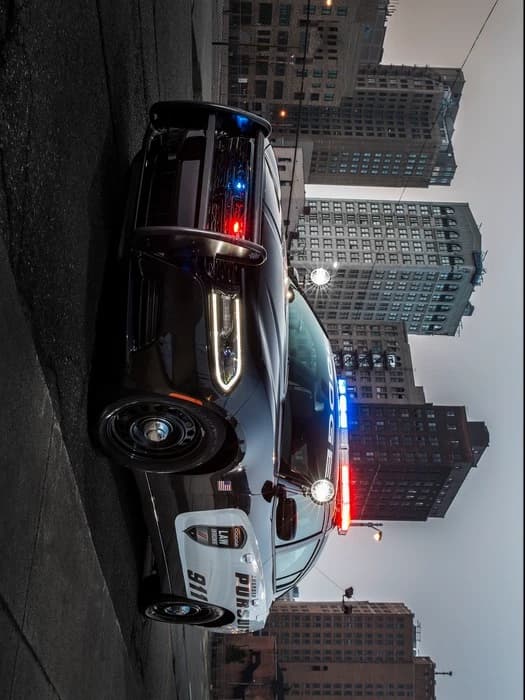 police car thumbnail