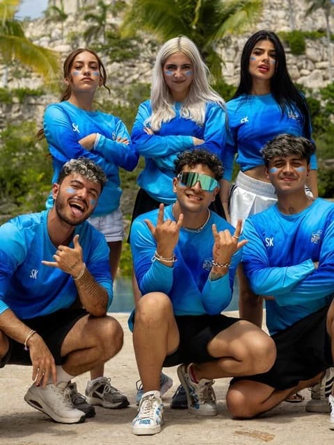 The Dolphins thumbnail