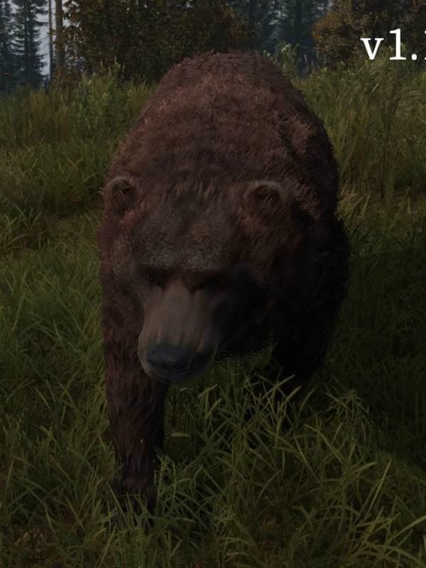 Barlow The Bear thumbnail