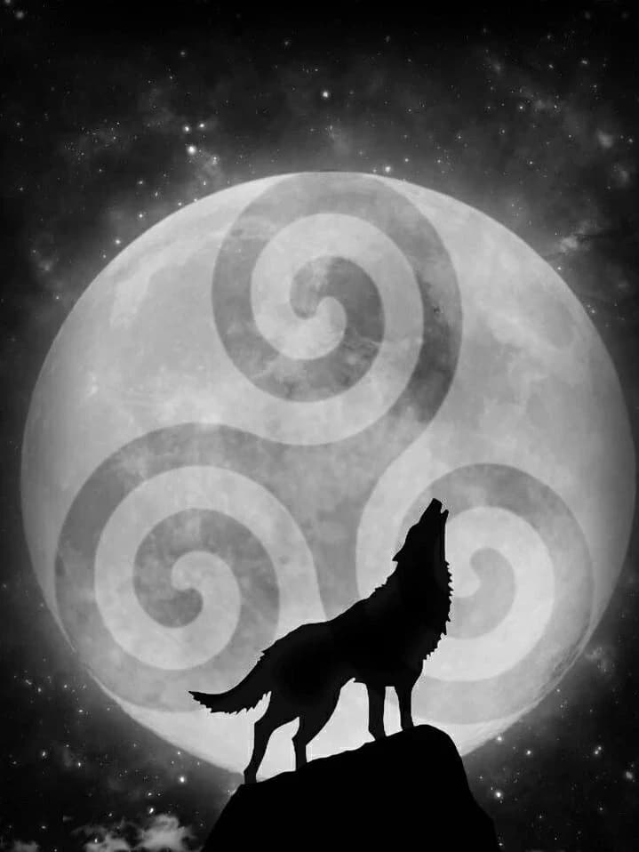 Teen Wolf thumbnail