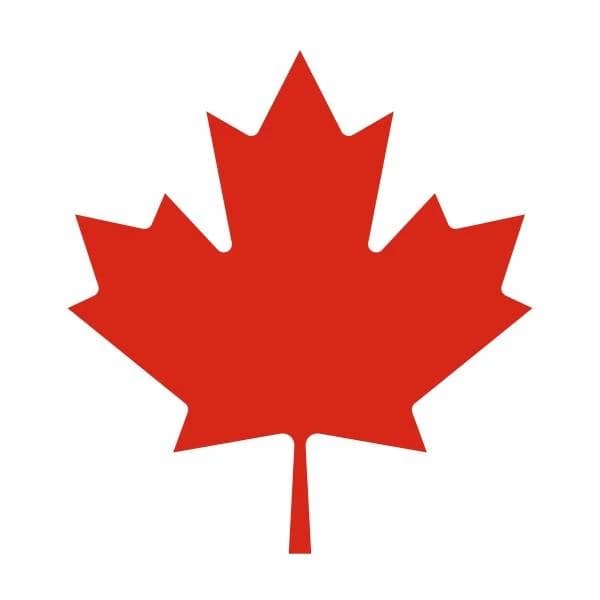 Canada GPT thumbnail