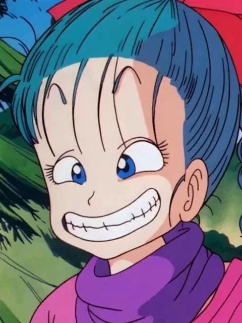 Bulma Briefs thumbnail